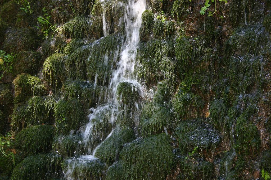 Alojamiento Rural Sierra De Gudar Valbona Exteriér fotografie